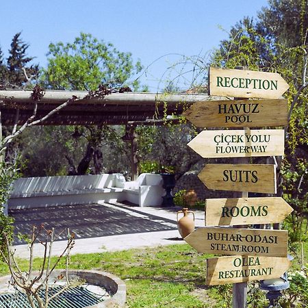 Olive Farm Of Datca Guesthouse (Adults Only) Екстер'єр фото