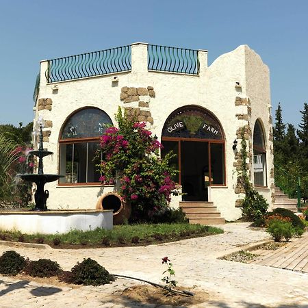 Olive Farm Of Datca Guesthouse (Adults Only) Екстер'єр фото