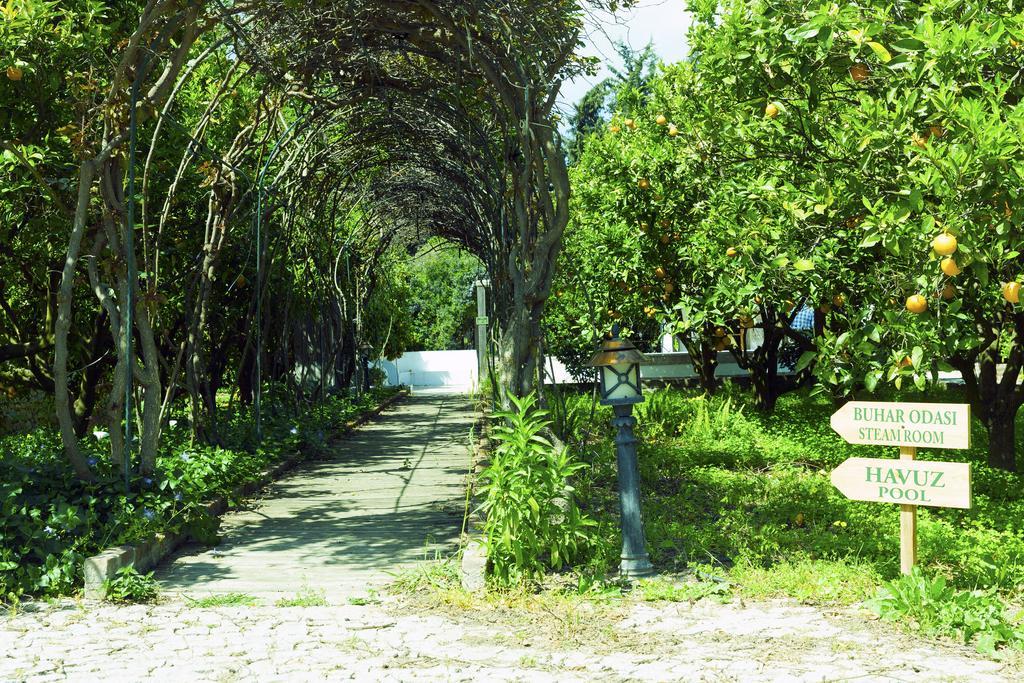 Olive Farm Of Datca Guesthouse (Adults Only) Екстер'єр фото