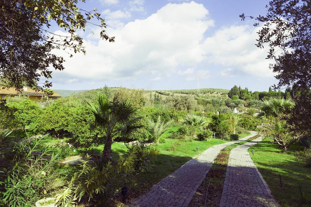 Olive Farm Of Datca Guesthouse (Adults Only) Екстер'єр фото
