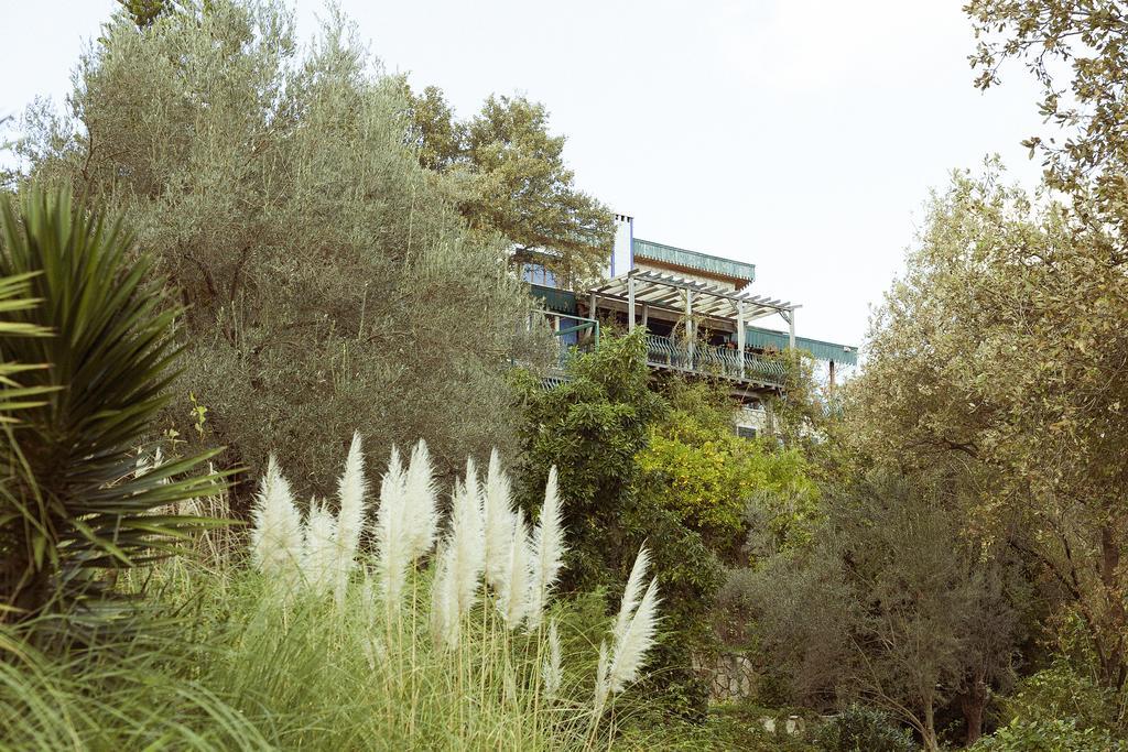 Olive Farm Of Datca Guesthouse (Adults Only) Екстер'єр фото
