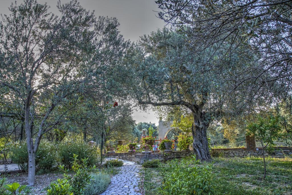 Olive Farm Of Datca Guesthouse (Adults Only) Екстер'єр фото
