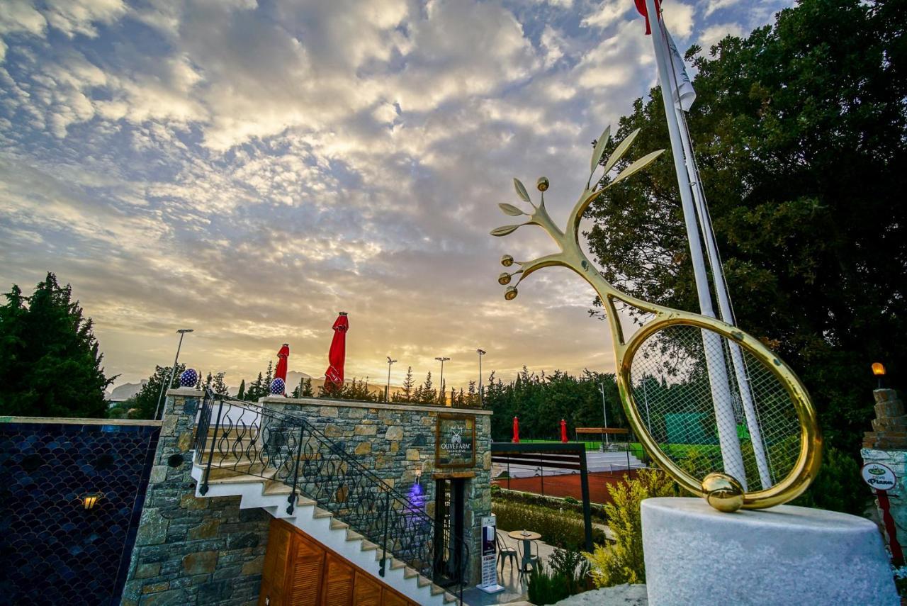 Olive Farm Of Datca Guesthouse (Adults Only) Екстер'єр фото