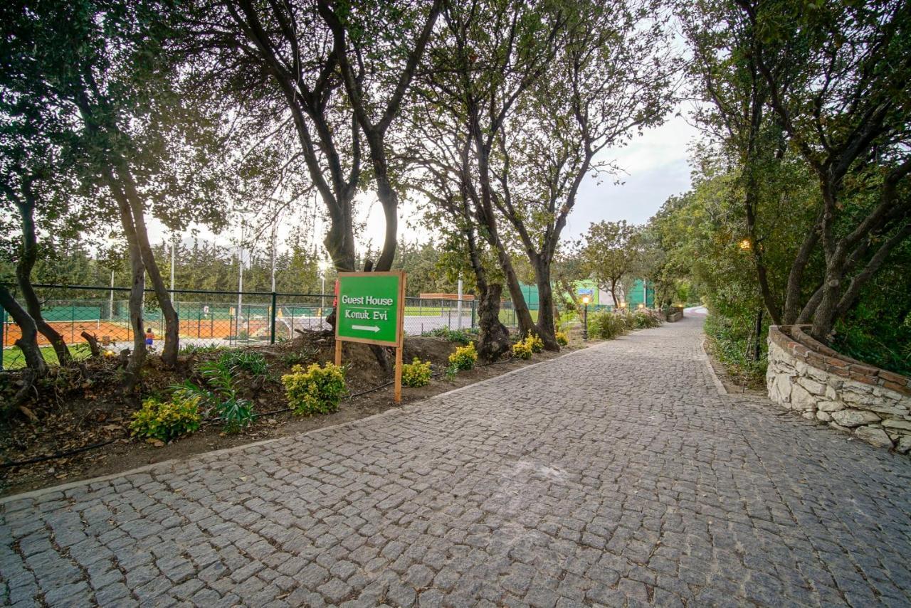Olive Farm Of Datca Guesthouse (Adults Only) Екстер'єр фото