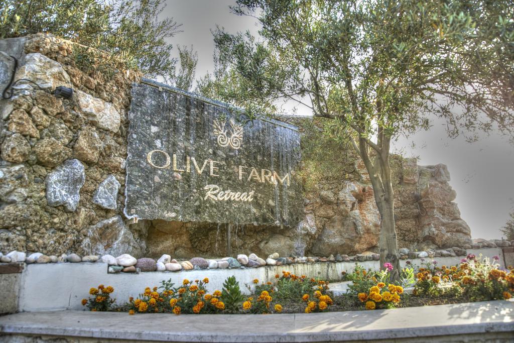 Olive Farm Of Datca Guesthouse (Adults Only) Екстер'єр фото