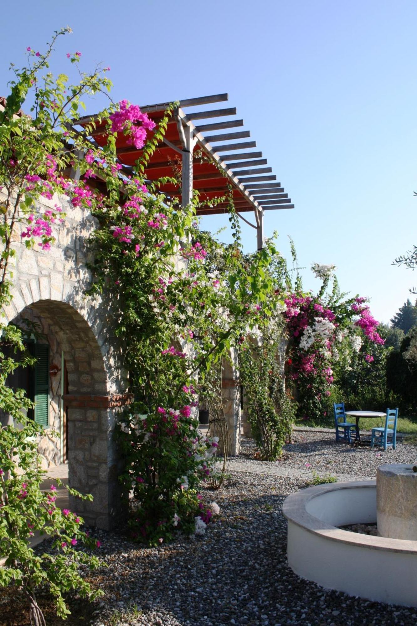 Olive Farm Of Datca Guesthouse (Adults Only) Екстер'єр фото