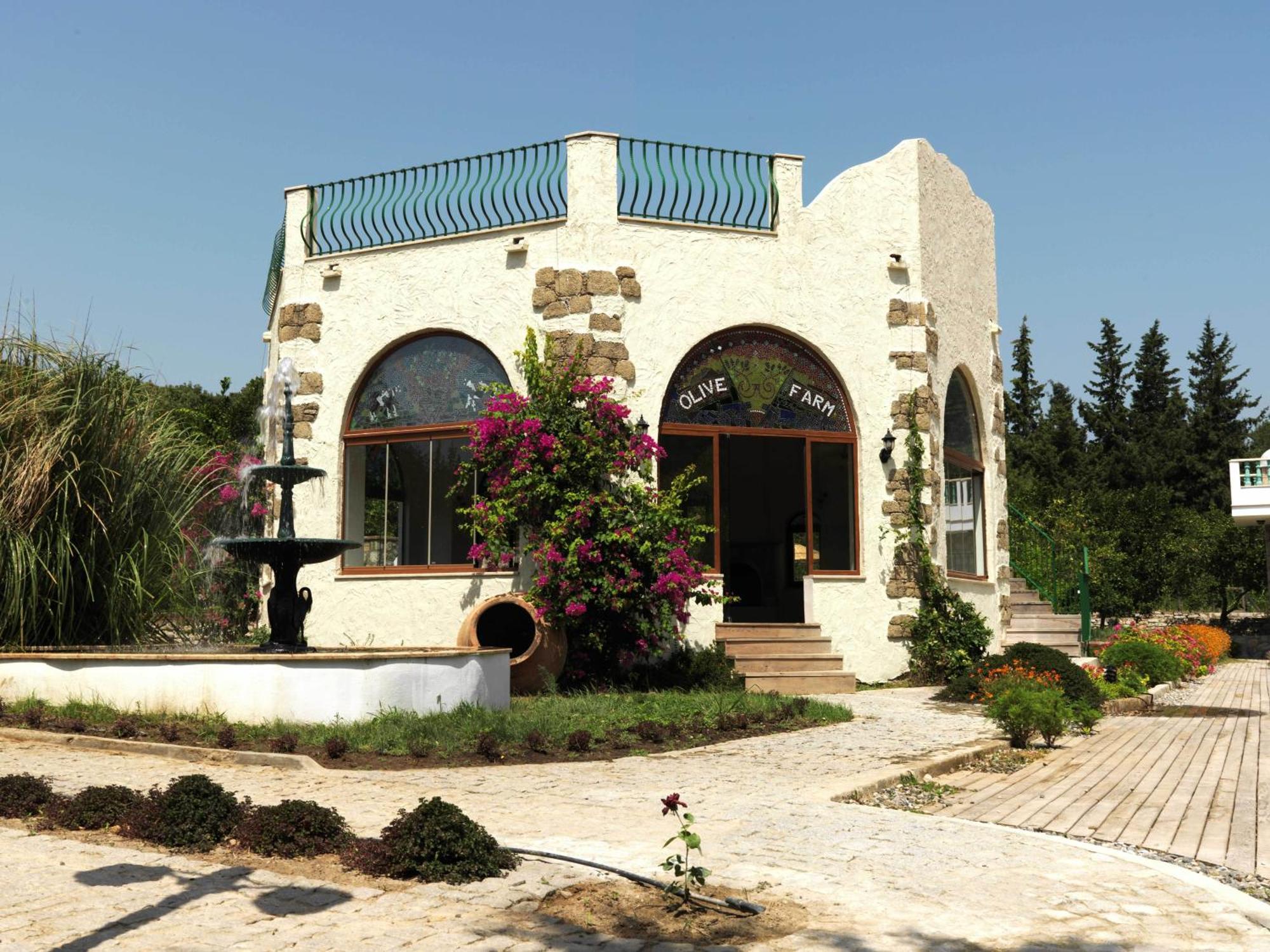 Olive Farm Of Datca Guesthouse (Adults Only) Екстер'єр фото