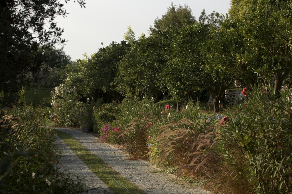Olive Farm Of Datca Guesthouse (Adults Only) Екстер'єр фото