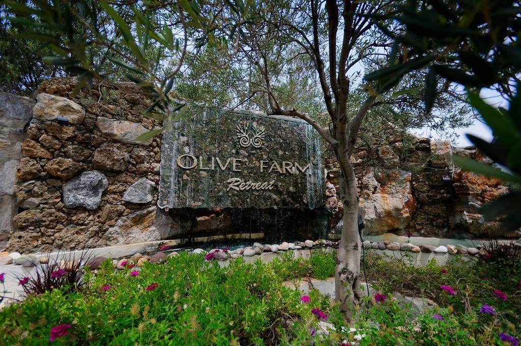 Olive Farm Of Datca Guesthouse (Adults Only) Екстер'єр фото