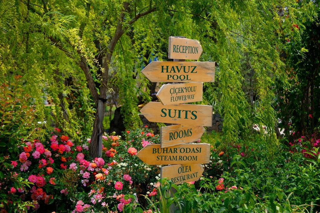 Olive Farm Of Datca Guesthouse (Adults Only) Екстер'єр фото