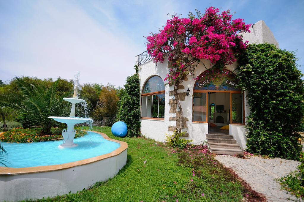 Olive Farm Of Datca Guesthouse (Adults Only) Екстер'єр фото