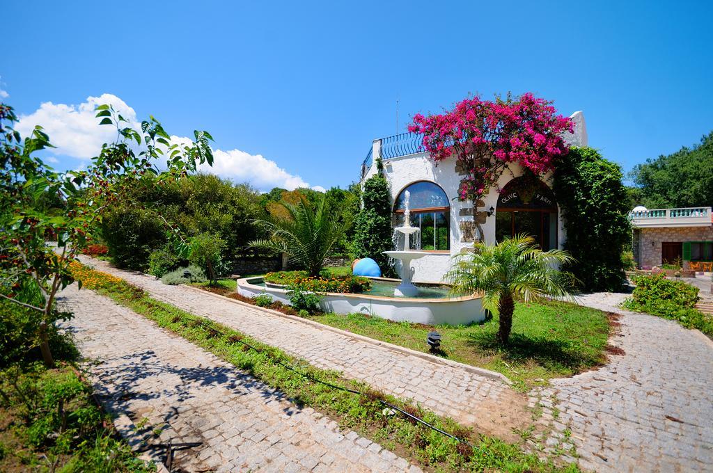 Olive Farm Of Datca Guesthouse (Adults Only) Екстер'єр фото