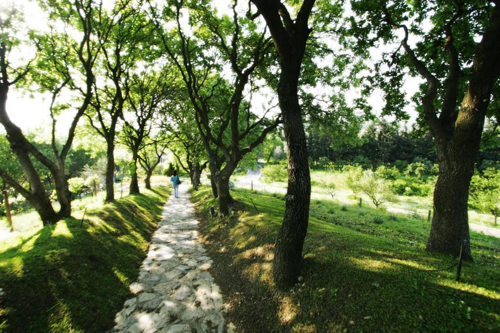Olive Farm Of Datca Guesthouse (Adults Only) Екстер'єр фото