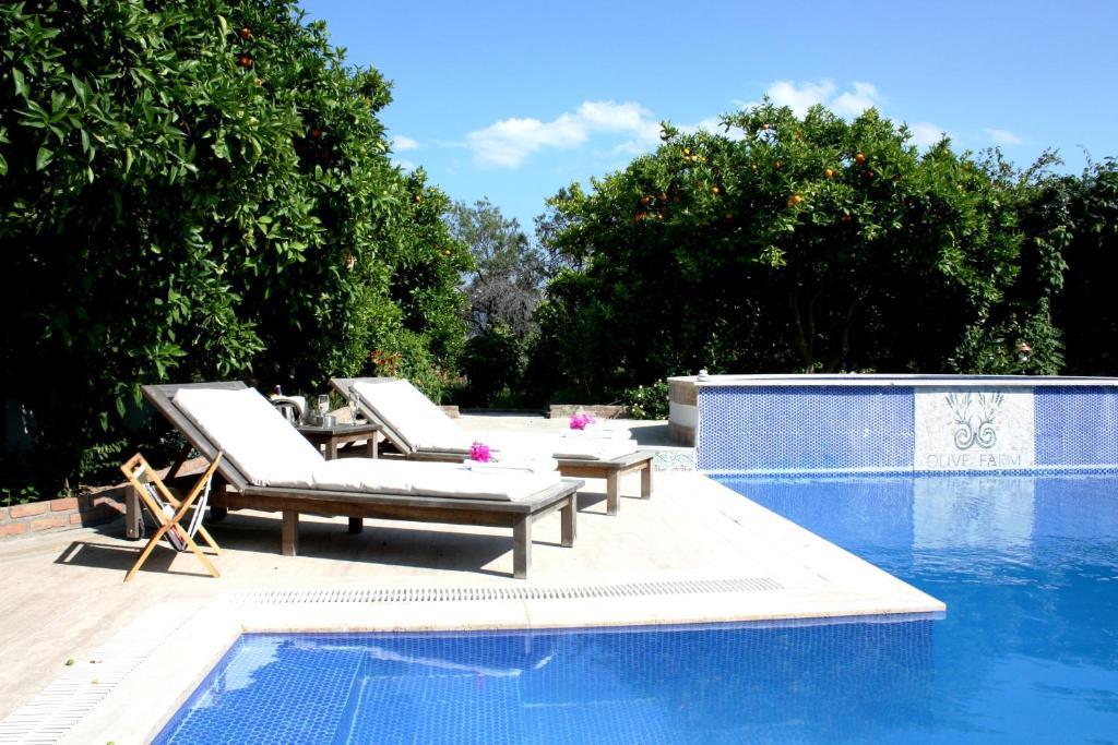 Olive Farm Of Datca Guesthouse (Adults Only) Екстер'єр фото