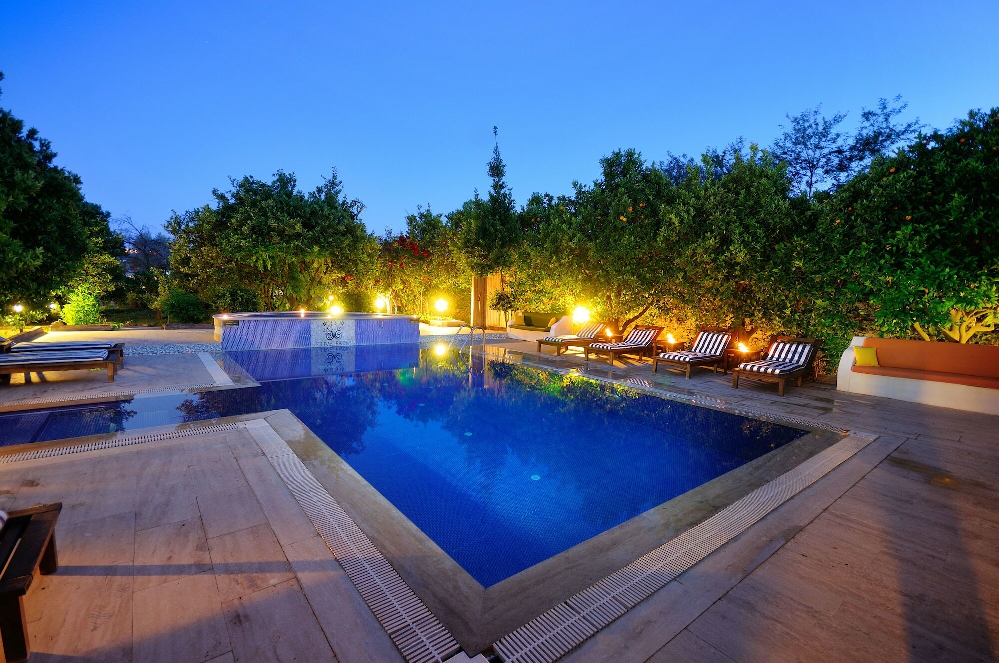 Olive Farm Of Datca Guesthouse (Adults Only) Екстер'єр фото